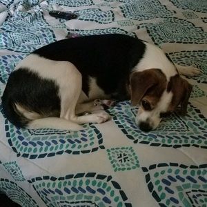 Meet your Posher, Jade